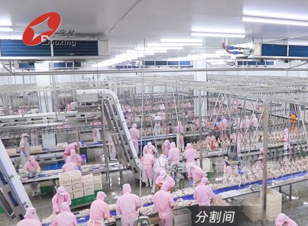 山东弘顺食品有限公司肉制品一体化深加工项目