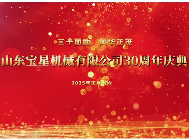山东宝星三十周年庆典