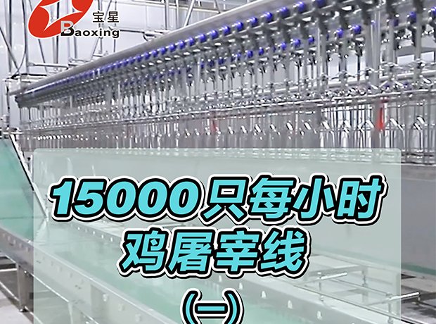 全自动家禽屠宰线，时宰 15000 羽，标准化流程、高效洁净、安全可控，一站式解决规模化屠宰需求