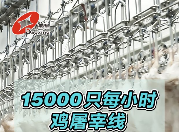 全自动家禽屠宰线，时宰 15000 羽，标准化流程、高效洁净、安全可控，一站式解决规模化屠宰需求。