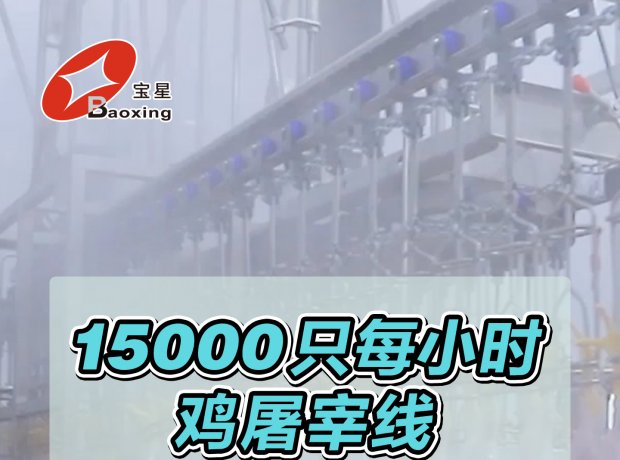 时宰 15000 羽全自动家禽屠宰线，高效投产！
